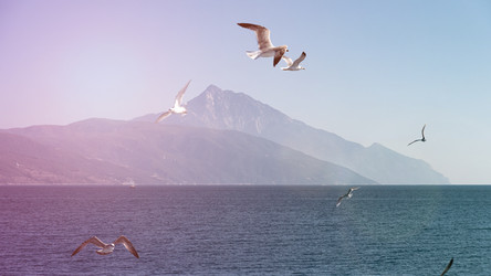 Similar image 21391054