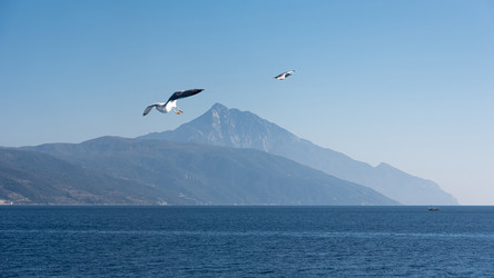 Similar image 21391058