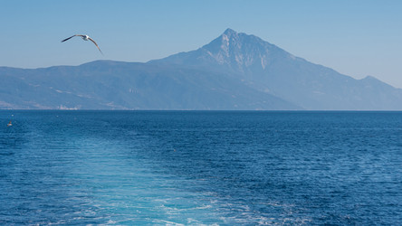 Similar image 21391262