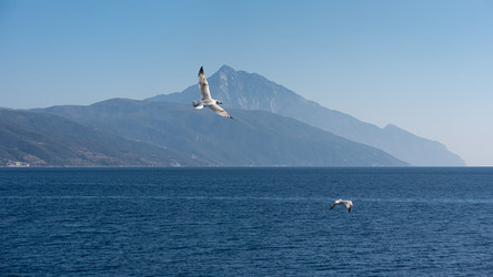 Similar image 21391263