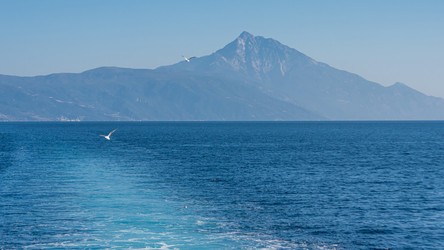 Similar image 21391264