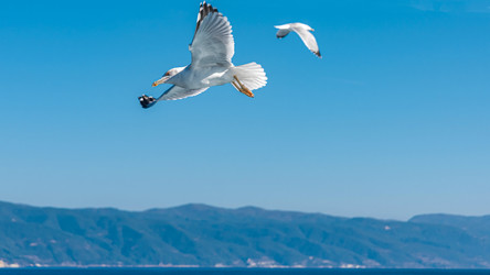 Similar image 21393745