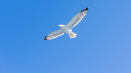 Similar image 21393914