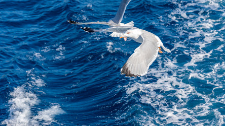 Similar image 21394093