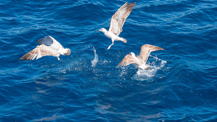 Similar image 21394097