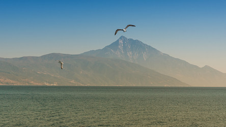 Similar image 21394373