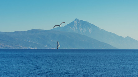 Similar image 21394375