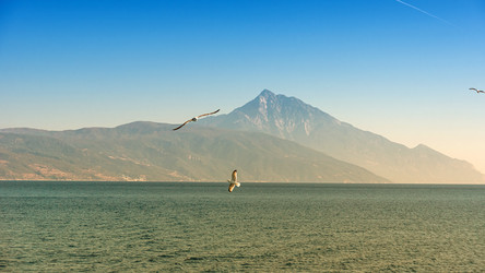 Similar image 21394615