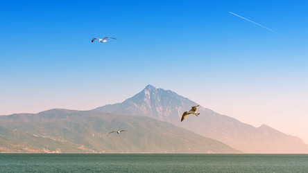 Similar image 21394617