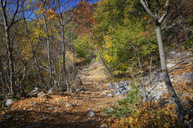 Similar image 21394618