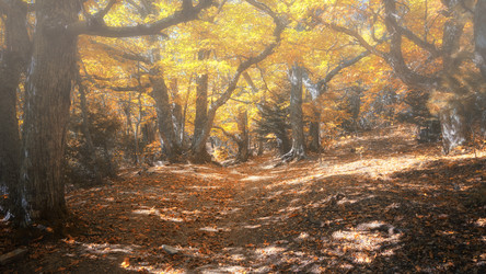 Similar image 21389699