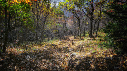 Similar image 21389701