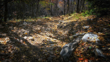 Similar image 21389702