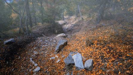 Similar image 21390010