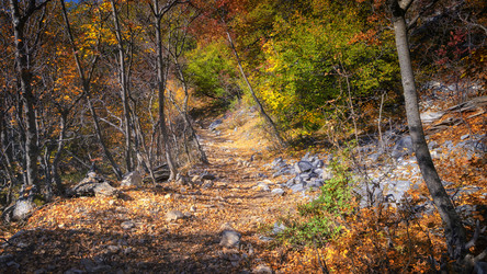 Similar image 21390012