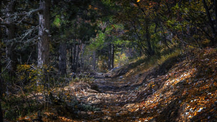 Similar image 21390016