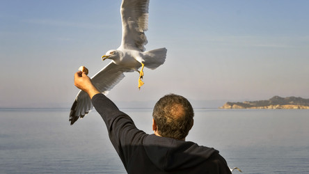 Similar image 21390018