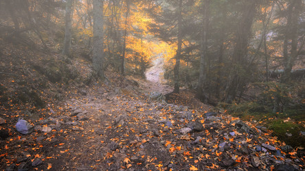 Similar image 21390020