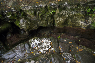 Similar image 21391064