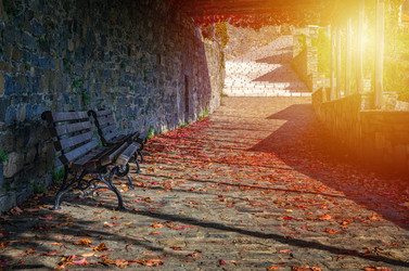 Similar image 21391269