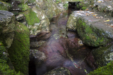 Similar image 21391271