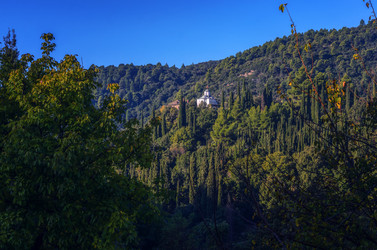 Similar image 21391476