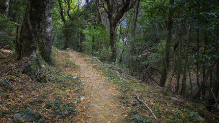 Similar image 21392538