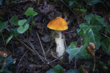 Similar image 21392542