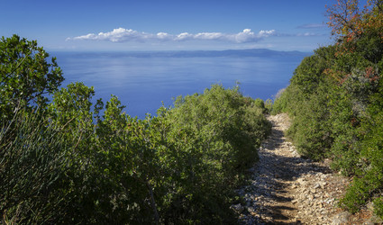 Similar image 21392544