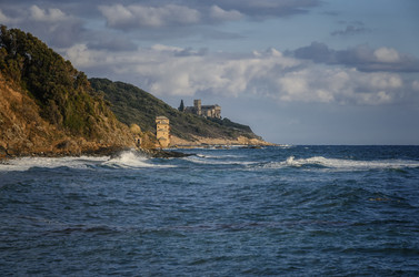 Similar image 21392904