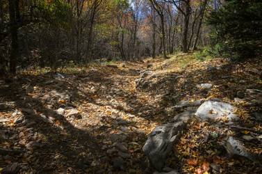 Similar image 21393226