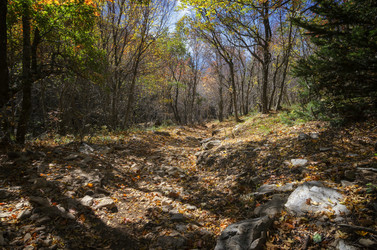 Similar image 21393228