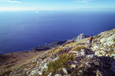 Similar image 21393501