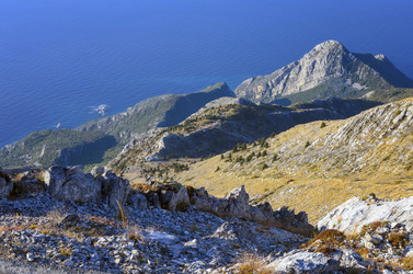 Similar image 21393757