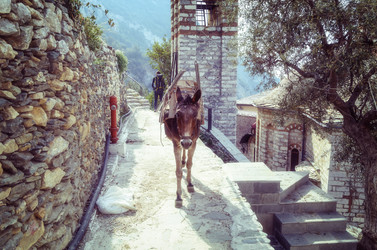 Similar image 21391482