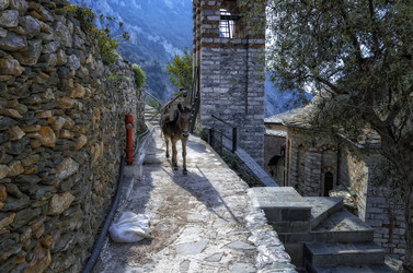 Similar image 21391484