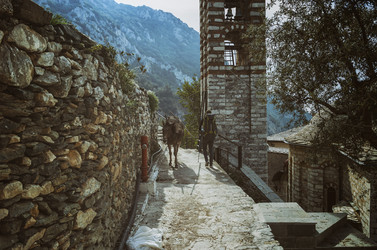 Similar image 21391756