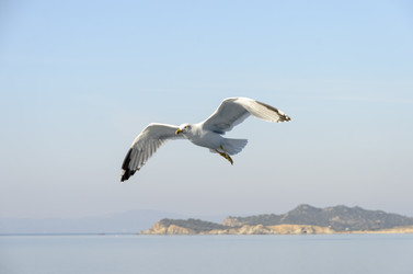 Similar image 21391761