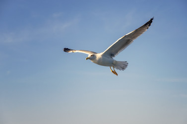 Similar image 21391767