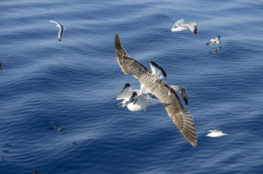 Similar image 21392045