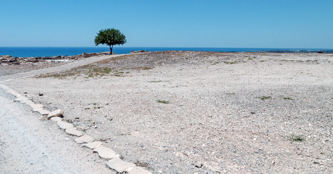 Similar image 21393762