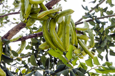 Similar image 21390024