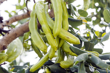 Similar image 21390026