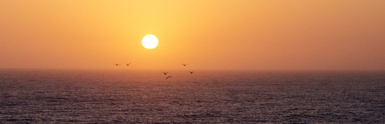 Similar image 21390027