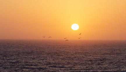 Similar image 21390029