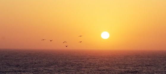 Similar image 21390030