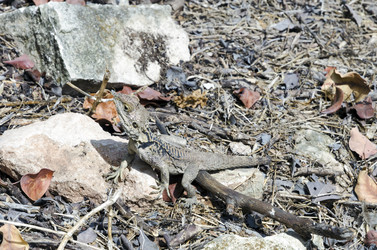 Similar image 21390031