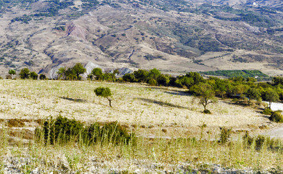 Similar image 21391278