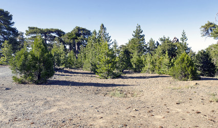 Similar image 21391778