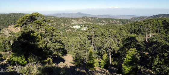 Similar image 21392052